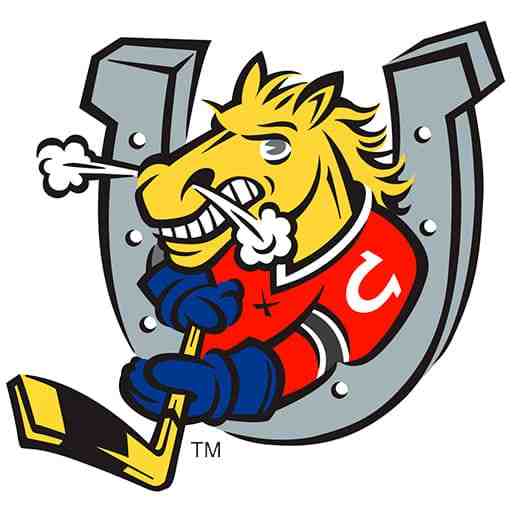 Brantford Bulldogs vs. Barrie Colts