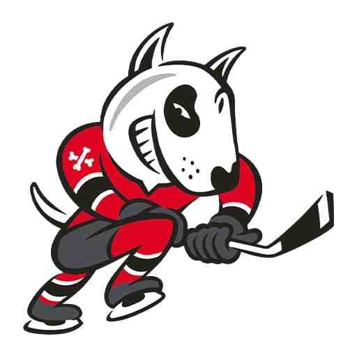 Niagara IceDogs