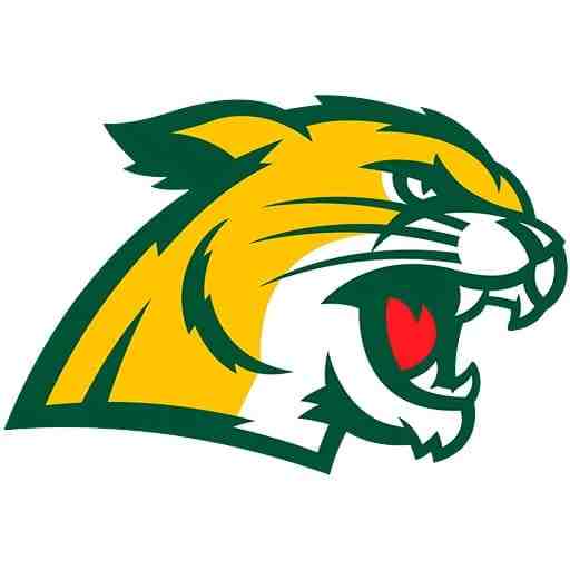 Northern Michigan Wildcats Hockey